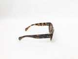 Ray-Ban Polarized Tortoise Sunglasses