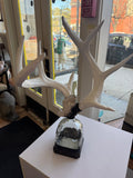 Jamie Dietrich Tourmaline Antler Bottle