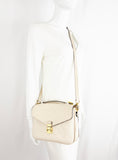 Louis Vuitton Pochette Metis