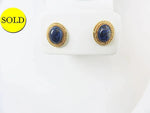 Sodalite 14K Earrings