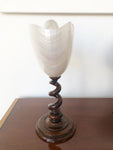 Natural Shell On Wood Stand