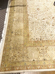 9' X 14' Oriental Rug