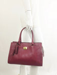 Coach Handle Bag